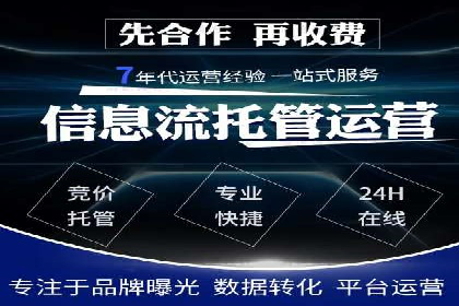 竞价广告案例分析：品牌成功之道
